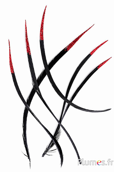 Oca lustrini rossi - 16-18 cm - nera